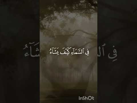 الل ه ال ذ ي ي ر س ل الر ي اح ف ت ث ير س ح اب ا ف ي ب س ط ه المنشاوي سورة الروم