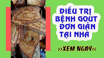 Điều trị bệnh GOUT - Đau nhức xương khớp vô cùng đơn giản tại nhà với Dây Gắm