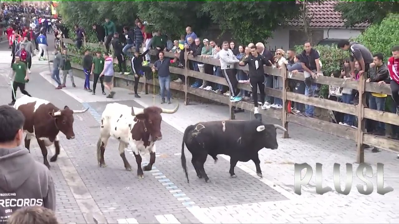 Encierro sábado 21 de septiembre de 2024 en Moralzarzal