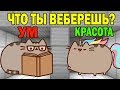 ЧТО ВЫБЕРЕТ НУБ И ПРО ? УМ ИЛИ КРАСОТА? ЛОВУШКИ СЛОЖНЫЕ  ТРОЛЛИНГ ИСПЫТАНИЕ мультик