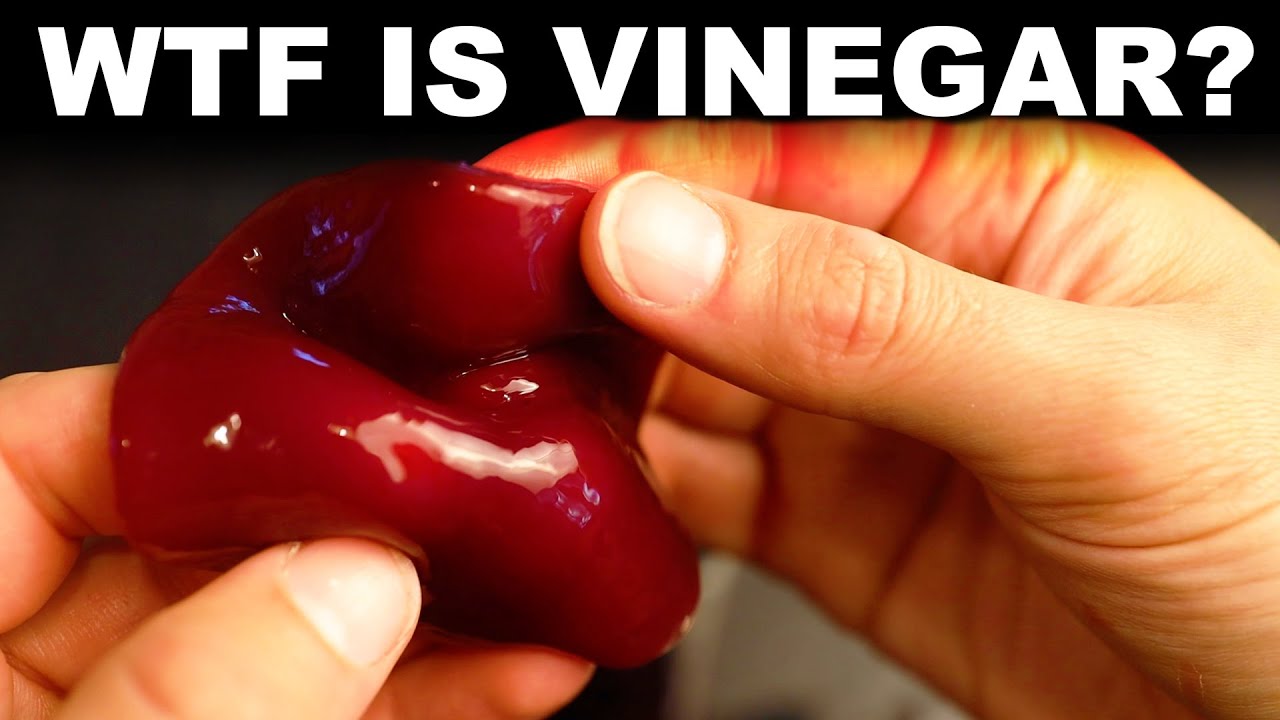 WTF is vinegar? And what is its MOTHER?, on YouTube