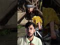 Top 3 Best Realistic Games For Android #shorts