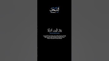 سورة النحل الآية: [٣٥] القارئ: ياسر الدوسري #القرآن_الكريم #الفرقان #سورة_النحل #ياسر_الدوسري #تلاوة