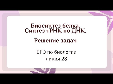 Задачи на биосинтез белка: синтез тРНК по ДНК (задание 28 ЕГЭ по биологии)