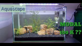 AQUASCAPE SEDERHANA || CARA BUAT AQUASCAPE || TANK 60 CM