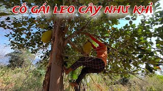 NGẠC NHIÊN khi thấy CÔ GÁI trẻ LEO CÂY như KHỈ /174