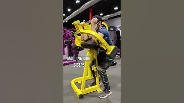 Máquina curl biceps (predicador)