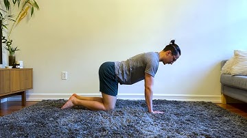 Scapular Controlled Articular Rotations in Quadruped