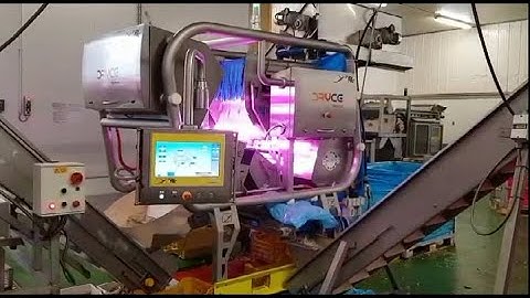 Dryce optical sorting machine for frozen artichokes | RAYTEC VISION SpA