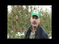 Interview With Chris Peters