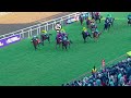 Owner Ravi Padayachee reflects on KING PELLES' title defence & what another World Pool Gold Cup Gr 3
