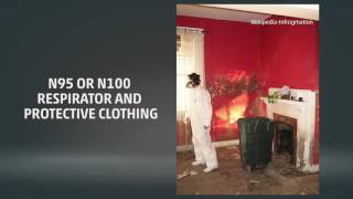 Flooding Can Cause Explosive Mold Growth