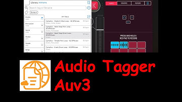 Audio Tagger as AUV3 Plugin - Media Assistant iOS