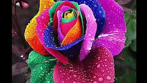 KEITH A.  PATTERSON ~ SO BEAUTIFUL  2019