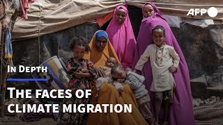 Climate migrants: who are they and where will they go? | AFP