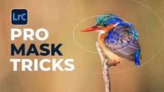 New EDITING TRICKS Using PRO Lightroom Masks