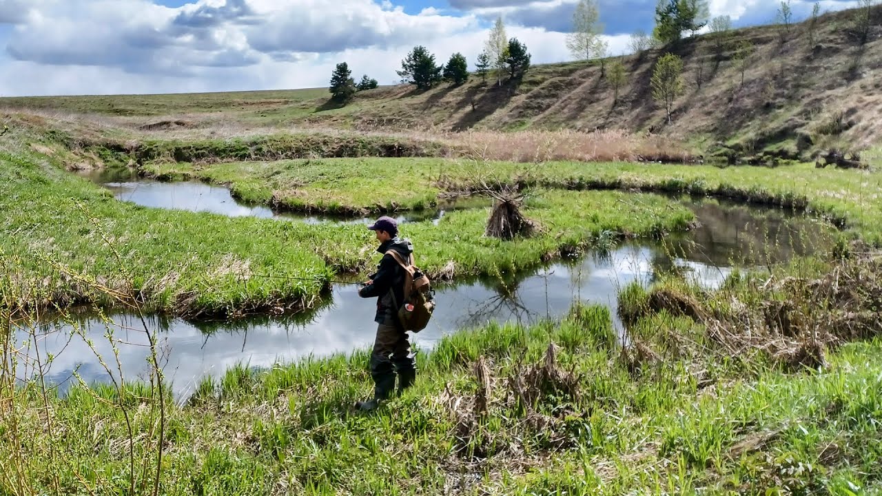 РУЧЕЙ ПО КОЛЕНО а щука КЛЮЁТ.  Рыбалка на спиннинг в мае 2023
