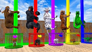 Cow Elephant Tiger Gorilla Dinosaur Guess The Right Key ESCAPE ROOM CHALLENGE Animals Cage Game