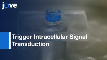 Integrated System: Upconversion Nanoparticle-Mediated Kinase Photoactivation l Protocol Preview