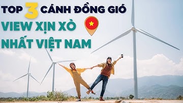 Checkin 3 Cánh Đồng Điện Gió nổi tiếng | DU LỊCH 360