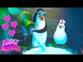 Madly Madagascar #3 ❤️Madagascar Valentines Day Special ❤️Madagascar DVD ❤️Kids Movies