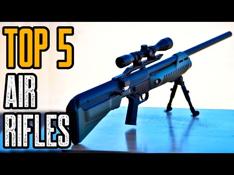 TOP 5 AIR RIFLES 2021 | BEST AIRGUNS FOR HUNTING 2021