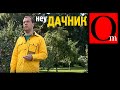 НеуДача Медведева - все узнали о домике уточки