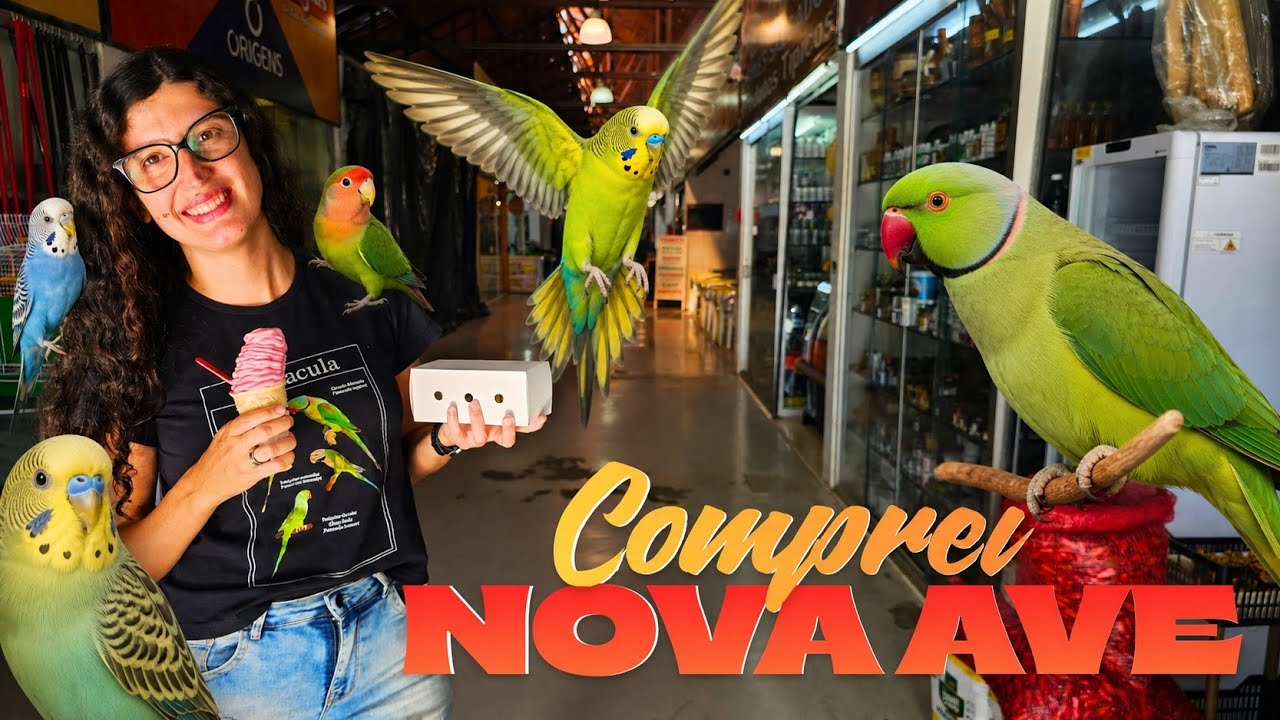 COMPREI MAIS UMA AVE para o nosso PLANTEL | Formando +1 CASAL