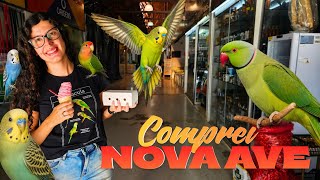 COMPREI MAIS UMA AVE para o nosso PLANTEL | Formando +1 CASAL