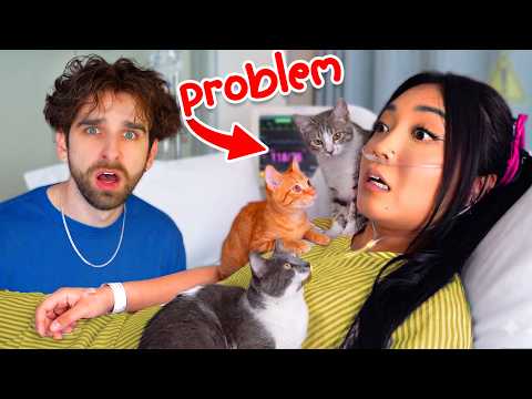 My Best Friend's SNORING PROBLEM Got Worse...(Cat Emergency)