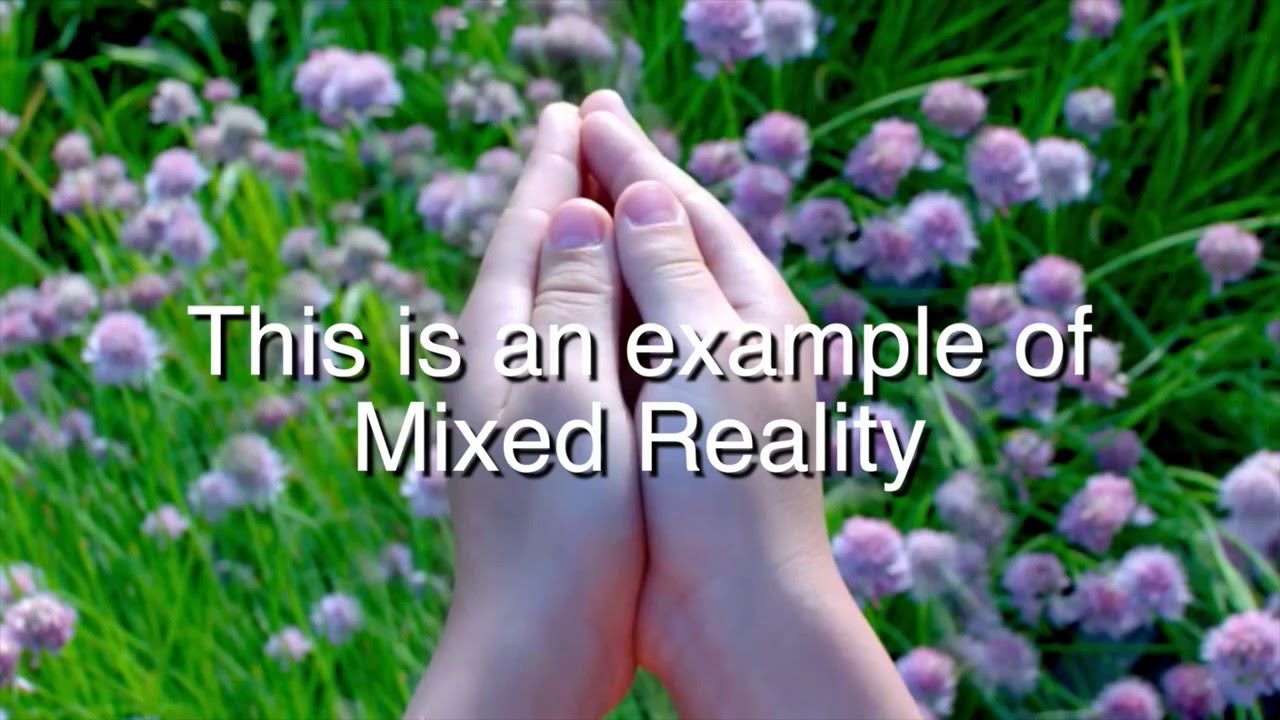 IamVR - Magic Leap -  Elephant In Hands, VR / mixed reality