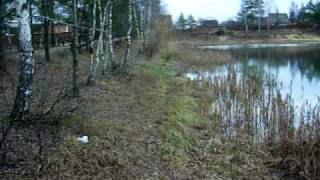 DSCN7243.MOV