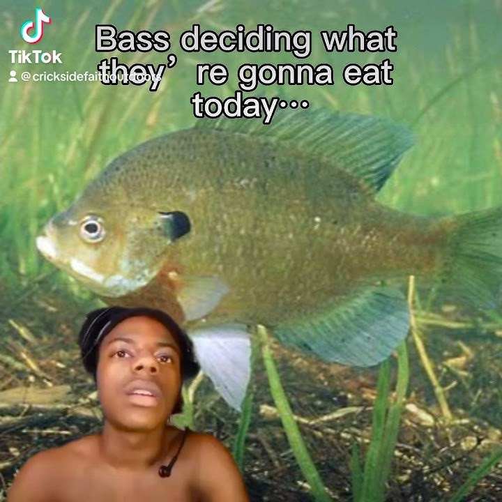 When n doubt..Senko Out👍 #speed #memes #viralshorts #viraltiktok #largemouthbassfishing