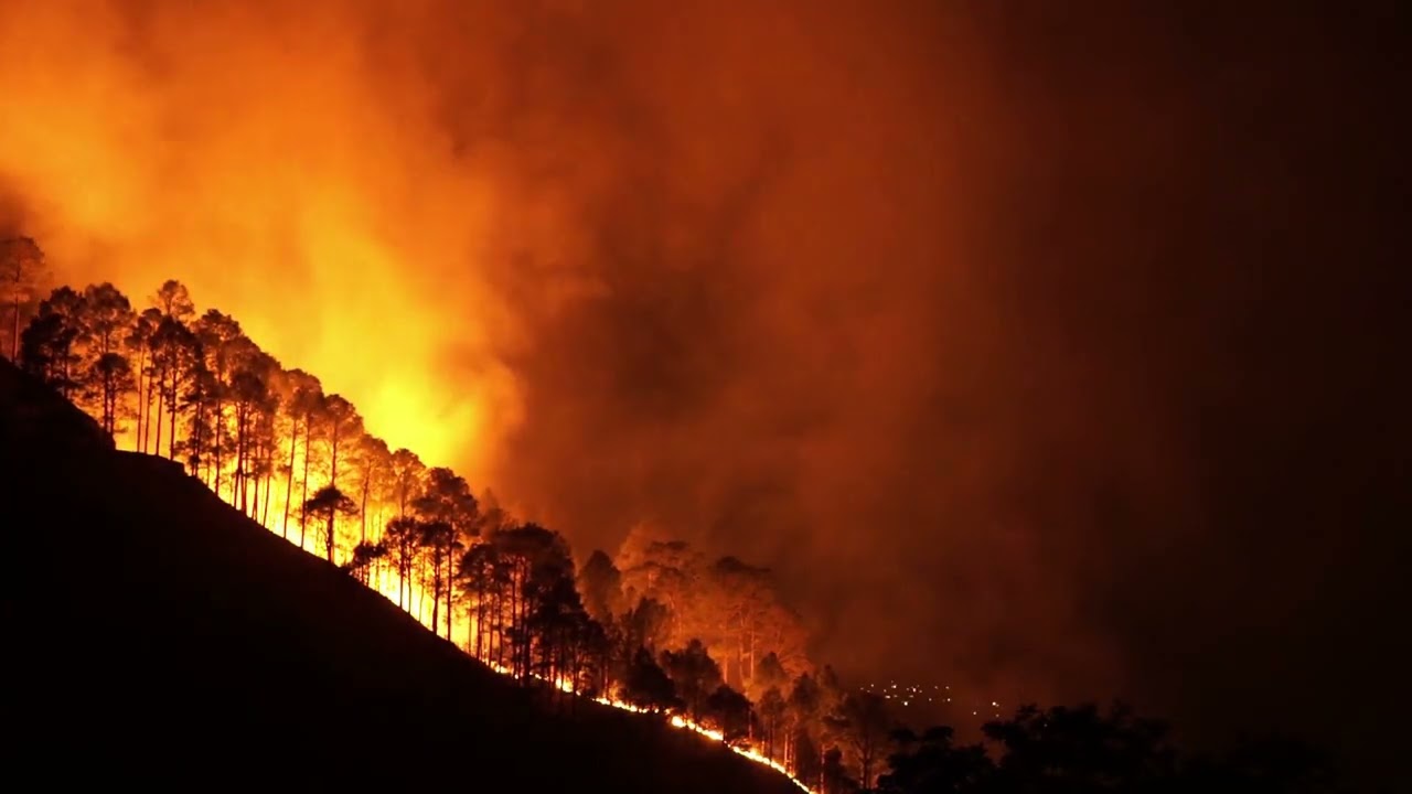 CreepingNet - Uncertain (New Music, 2024)