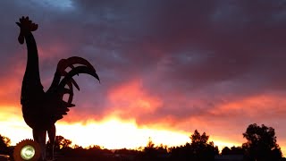 July 1 2025 sunset extra