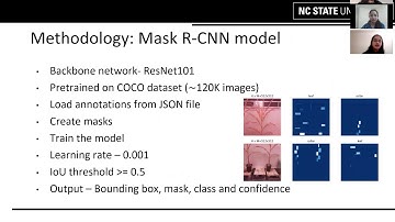 Deep learning based plant phenotyping using Mask RCNN