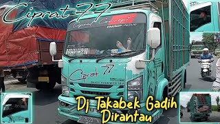 Truk Ciprat 77 spesialia ayam balap 🏁 || DJ Takabek Gadih Dirantau Virall !!
