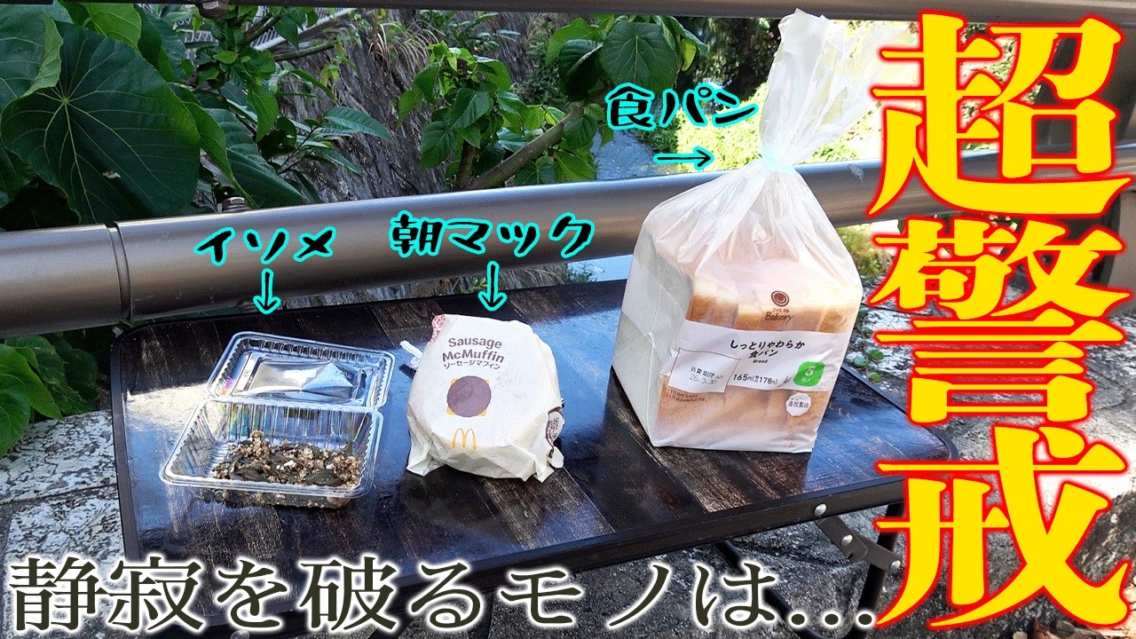 環境に適応しすぎた超ハイアラートフィッシュを最強のエサで釣りあげろ！