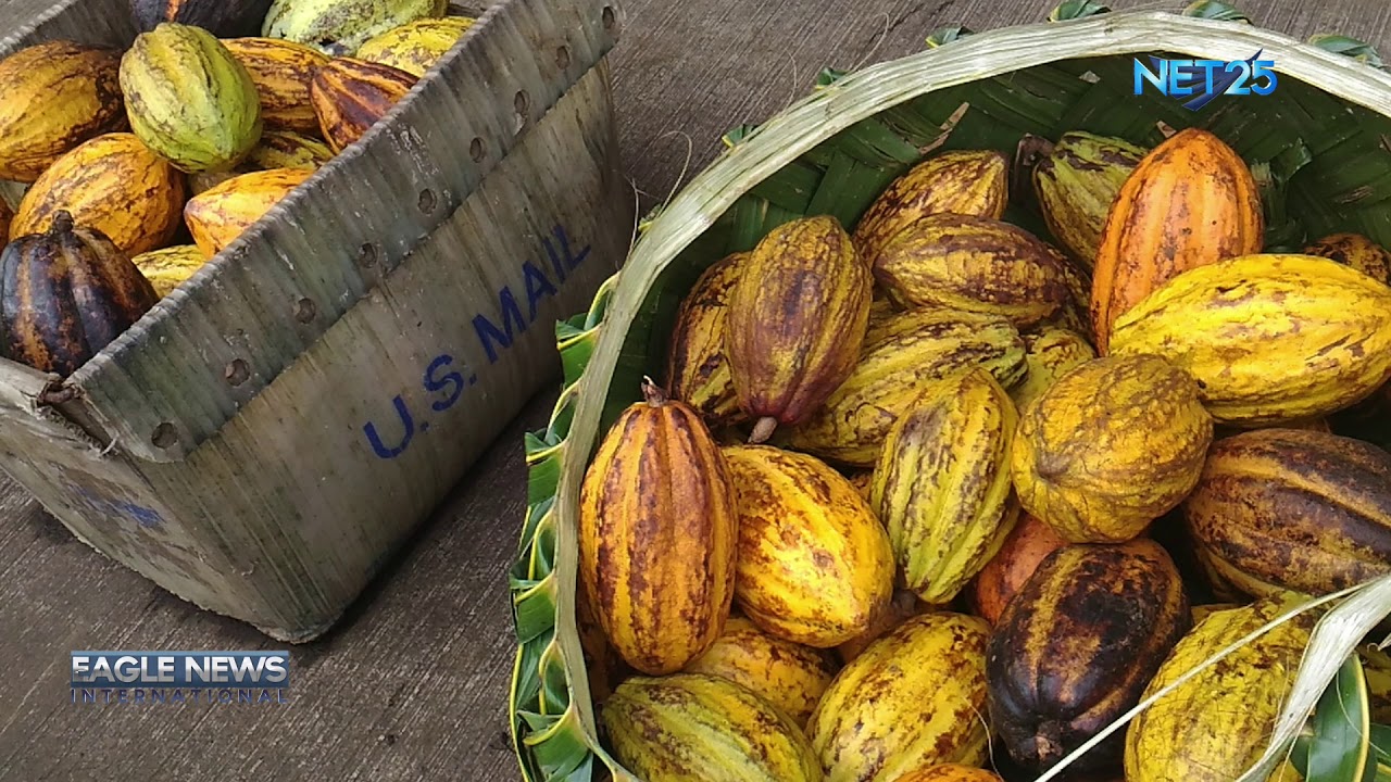 American Samoa Fagatogo Market Showcases Local Culture YouTube