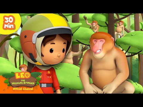 🐾 Leo the Wildlife Ranger 2024 🐾 TOP Animals of the Year ⭐️
