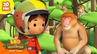 Make Friends with Monkeys! 🐵 | Humans & Animals | Leo the Wildlife Ranger | Kids Cartoons