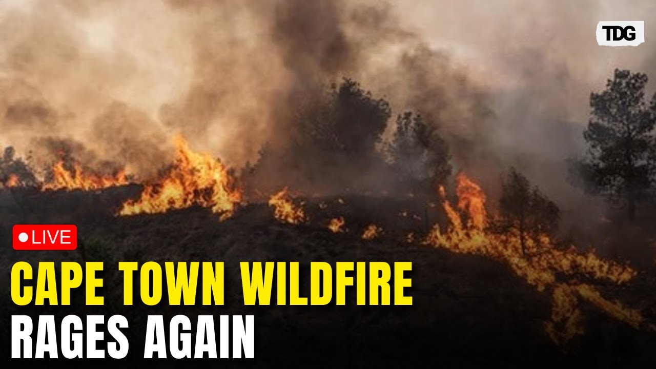 Cape Town wildfire LIVE: Strong Winds Reignite Cape Town Wildfire as Firefighting Struggle