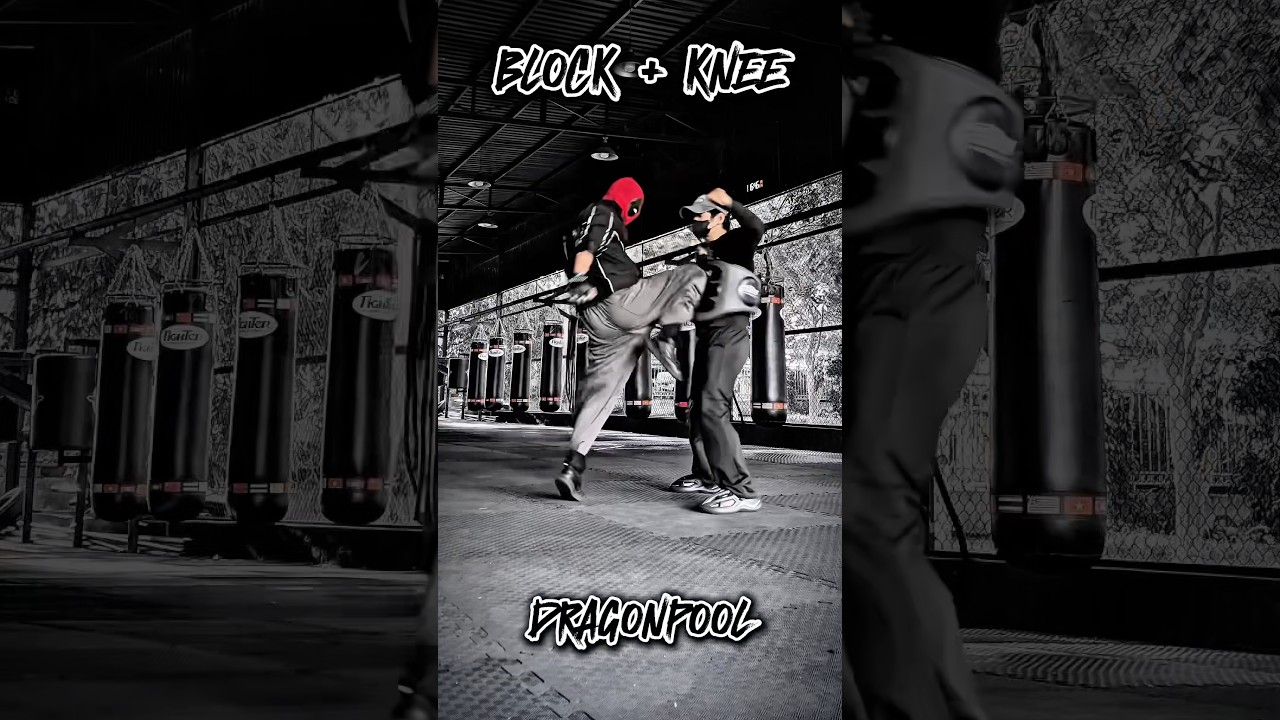 Defence combination 6 