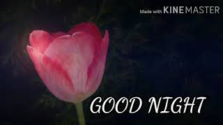 Good night video with flower images pics wallpaper with beautiful background music just for you screenshot 4