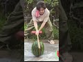 【藤井風】風さんらしいスイカ割り💓#shorts