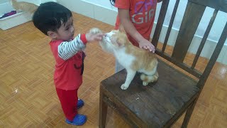 Reaction of Cats Meet Baby for First Time by Top Animals TV 49 views 2 months ago 2 minutes, 45 seconds