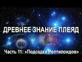 Дополнительно о Рептилоидах. Что такое 'Подсадка'. Орис. Серия: Звездный Дом. Часть 11.