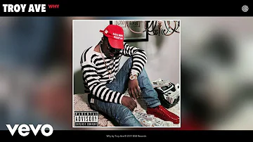 Troy Ave - Why (Audio)