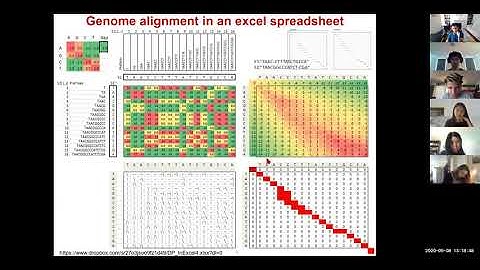 6.047/6.878 Lecture 3 - Local alignment Hashing BLAST alignmentScores (Fall 2020)