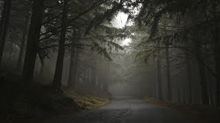 ♫ Soft And Ambient Music ♪ - Cold Morning (Copyright And Royalty Free) screenshot 4